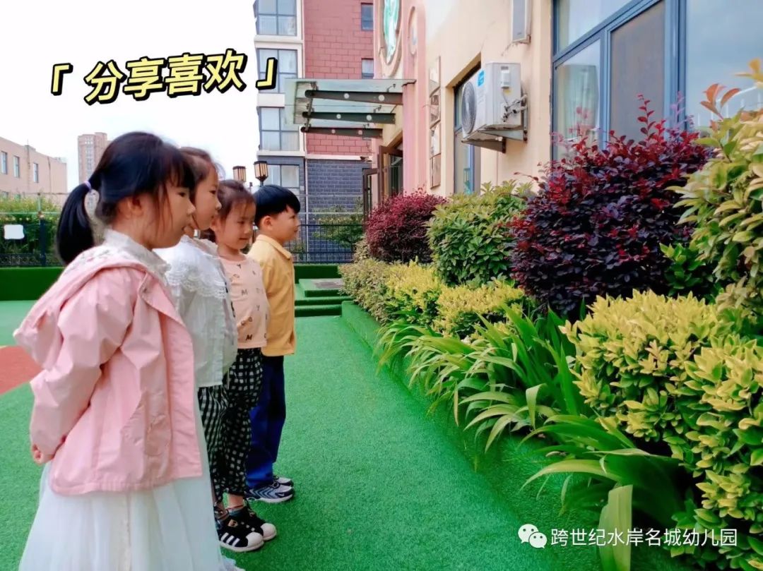  圖片迷路了 ^.^